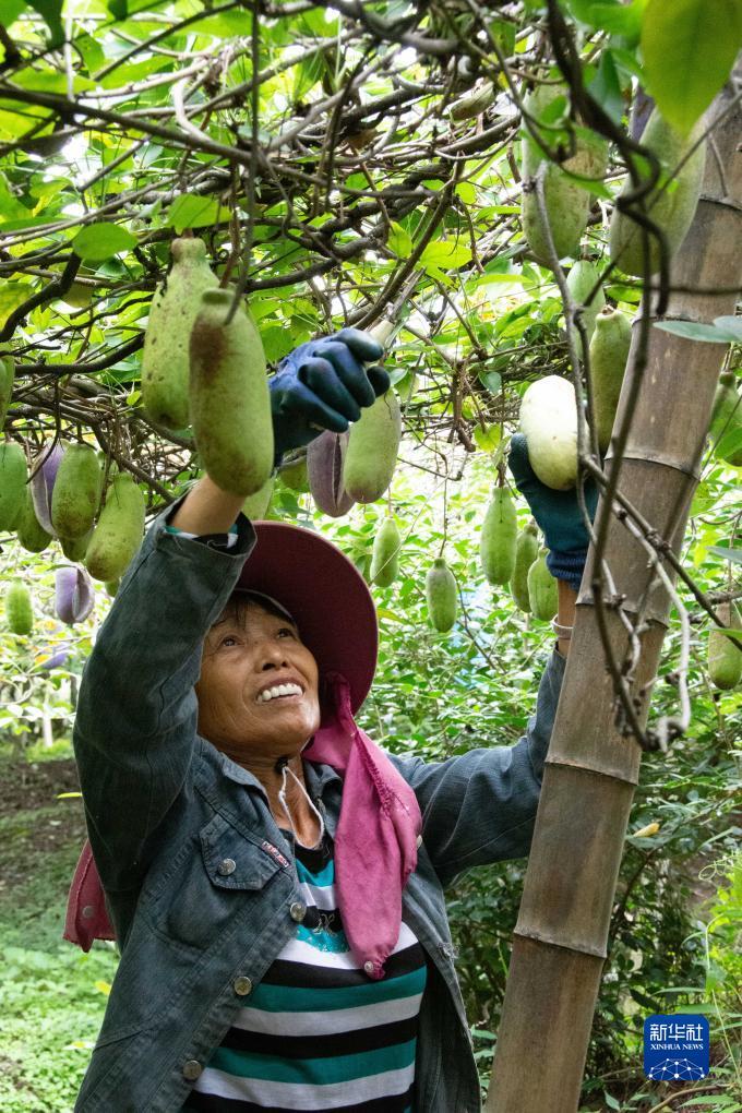 永利现金排名